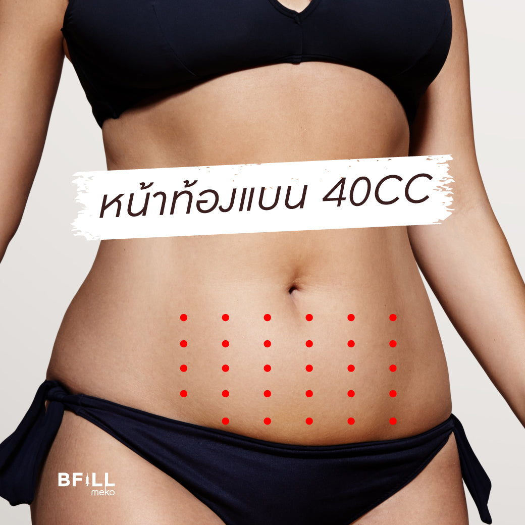 Fat Body 脂肪分解体