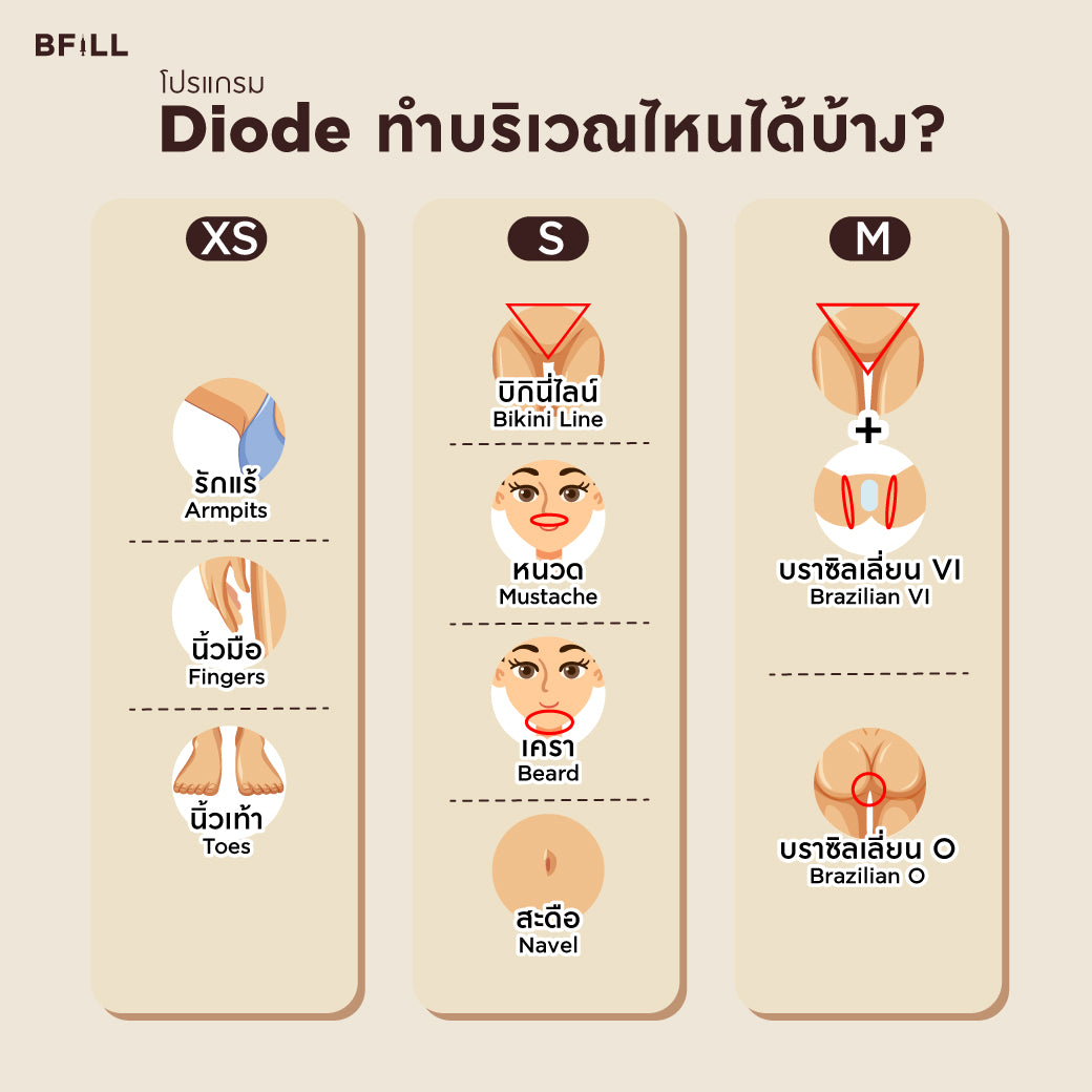 脱毛二极管 XL 号快速队列,由高级专家操作(x2 套装时长)