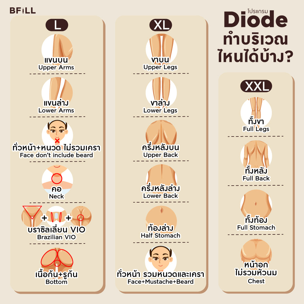 Program Hair Removal Diode Size M Express Que By Senior Specialist (x2 Package Duration)