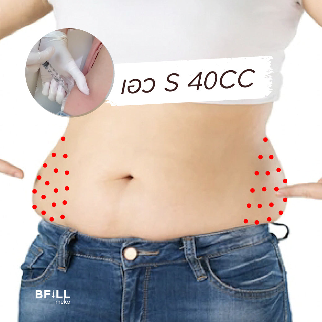 Fat Body 脂肪分解体