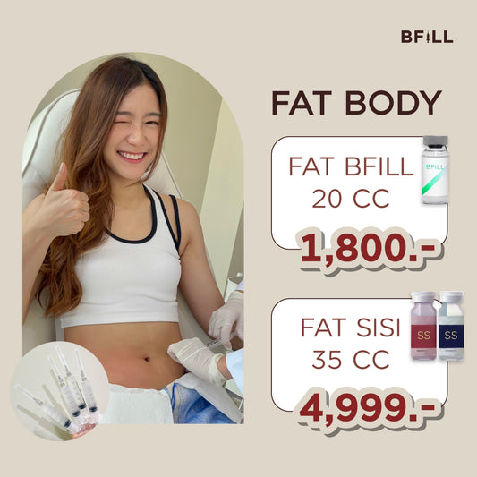 Fat Body 脂肪分解体